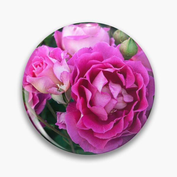 Artikelvorschau, Rosa Rosen entworfen und verkauft von LadyKandis.