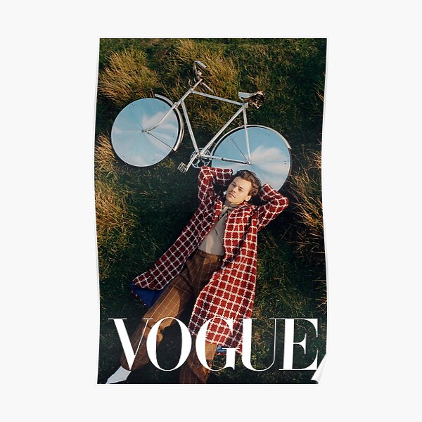 Styles Vogue Vélo Poster