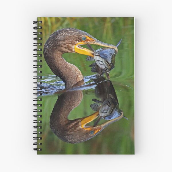Item preview, Cormorant Catch and Reflection designed and sold by Anthony Goldman.