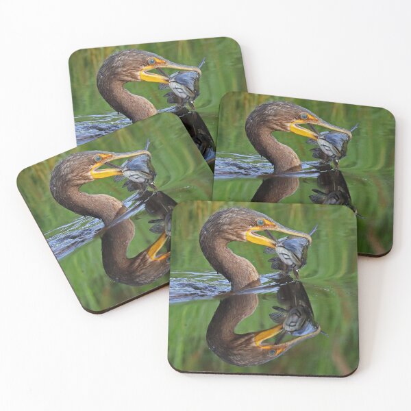 Item preview, Cormorant Catch and Reflection designed and sold by Anthony Goldman.
