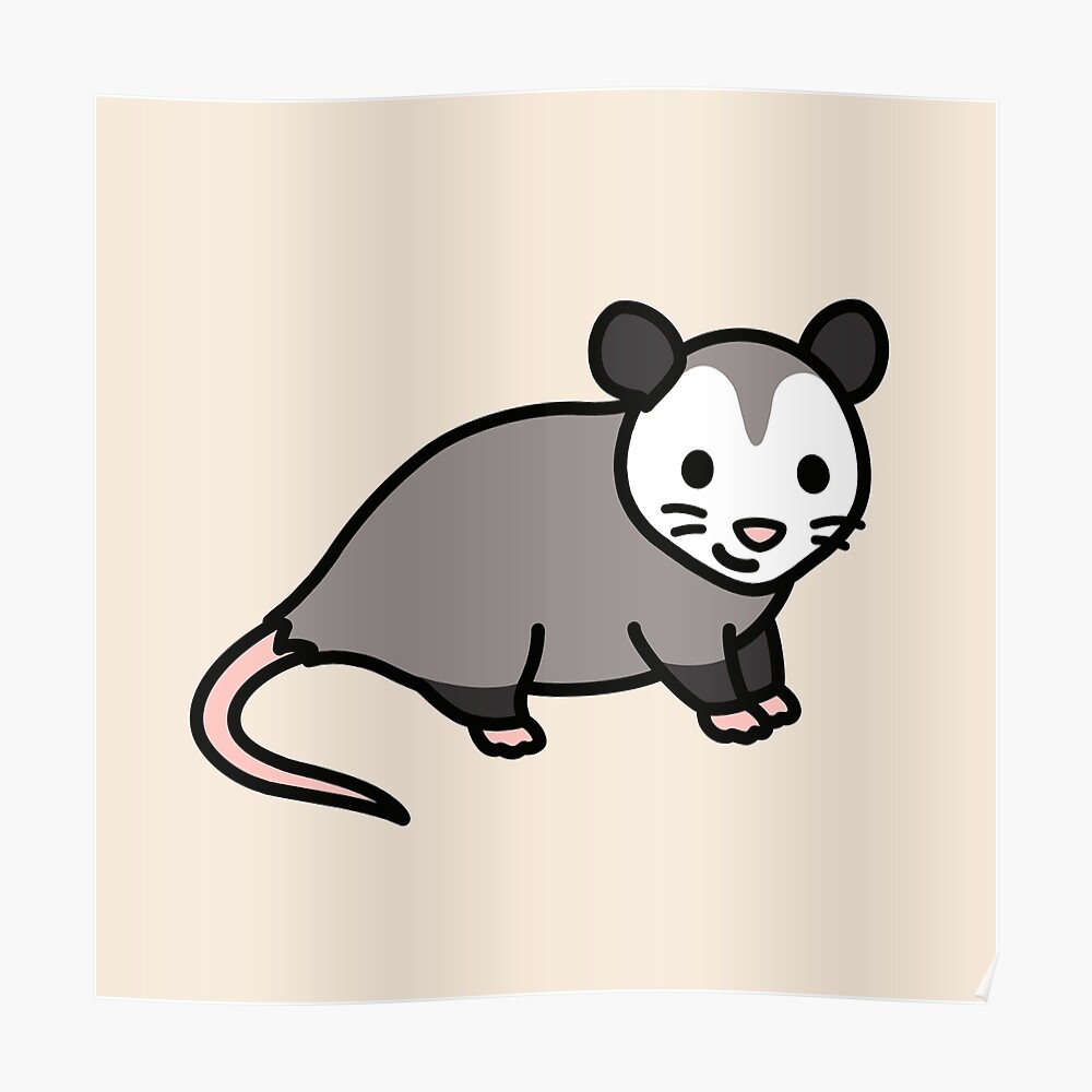 Baby Animals . Baby opossum, Cute animals, Baby possum HD wallpaper | Pxfuel