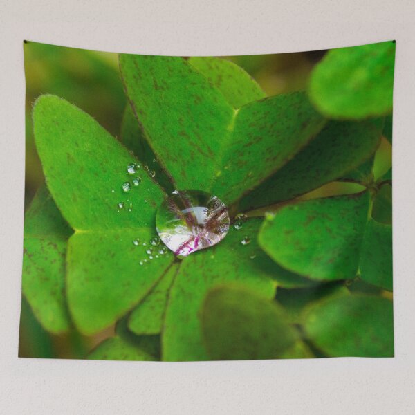 Item preview, Water drop on leave  designed and sold by fotorealo.