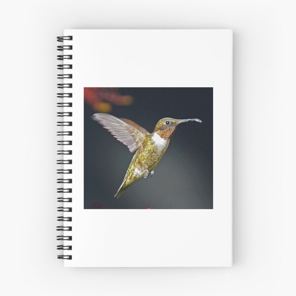 Item preview, Ruby -throat Hummingbird male designed and sold by Anthony Goldman.
