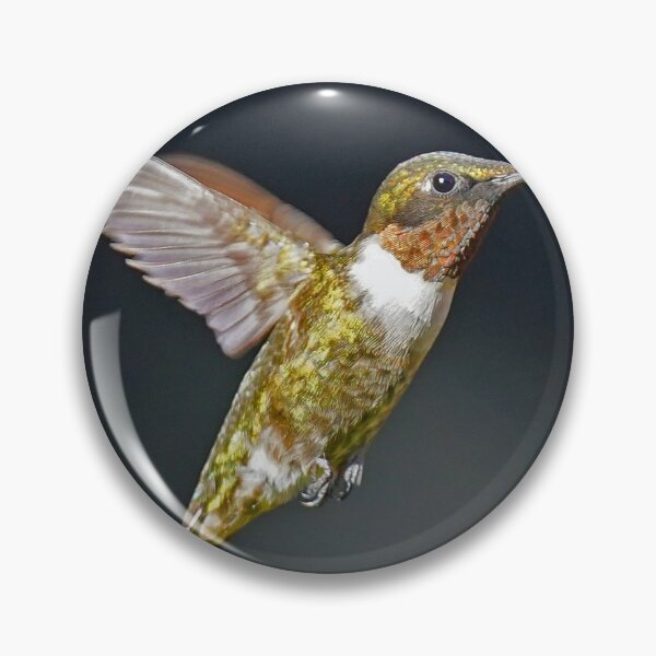 Item preview, Ruby -throat Hummingbird male designed and sold by Anthony Goldman.