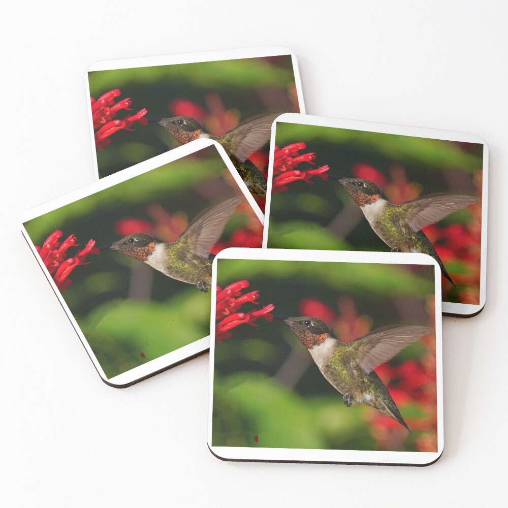 Item preview, Coasters (Set of 4) designed and sold by jozi1.
