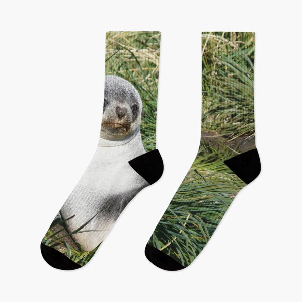 Item preview, Seal pup designed and sold by Marylou Badeaux.