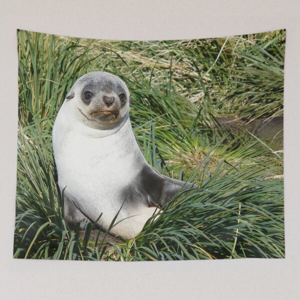 Item preview, Seal pup designed and sold by Marylou Badeaux.