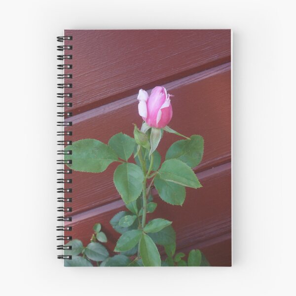 Item preview, The Rosebud designed and sold by CelestialPearl.