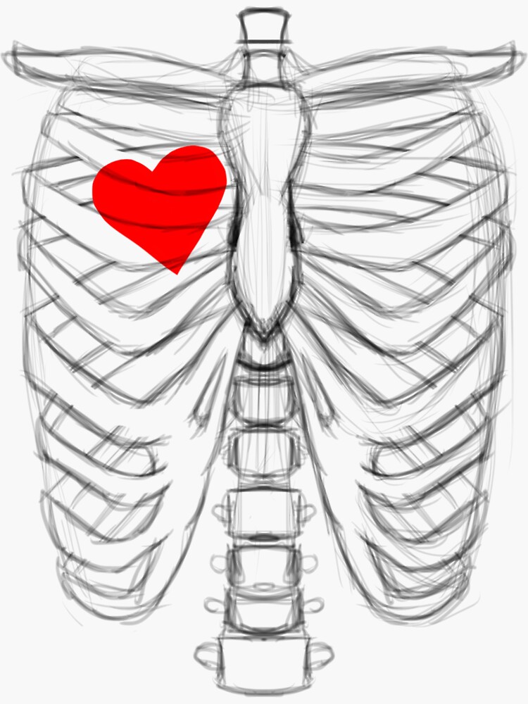 rib cage with love heart and devil wings' Sticker