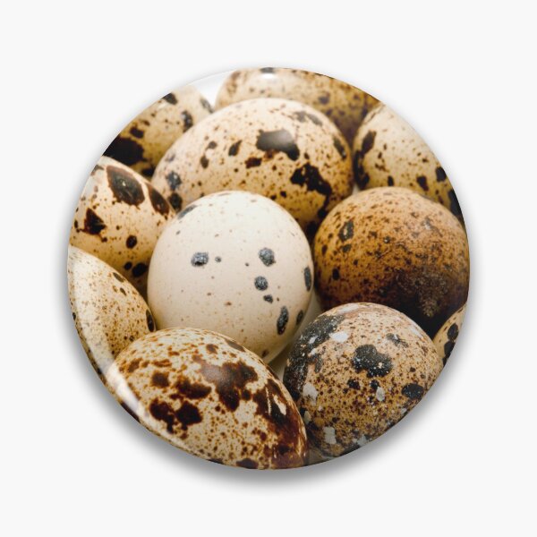 Item preview, Quail eggs designed and sold by troianifabrizio.