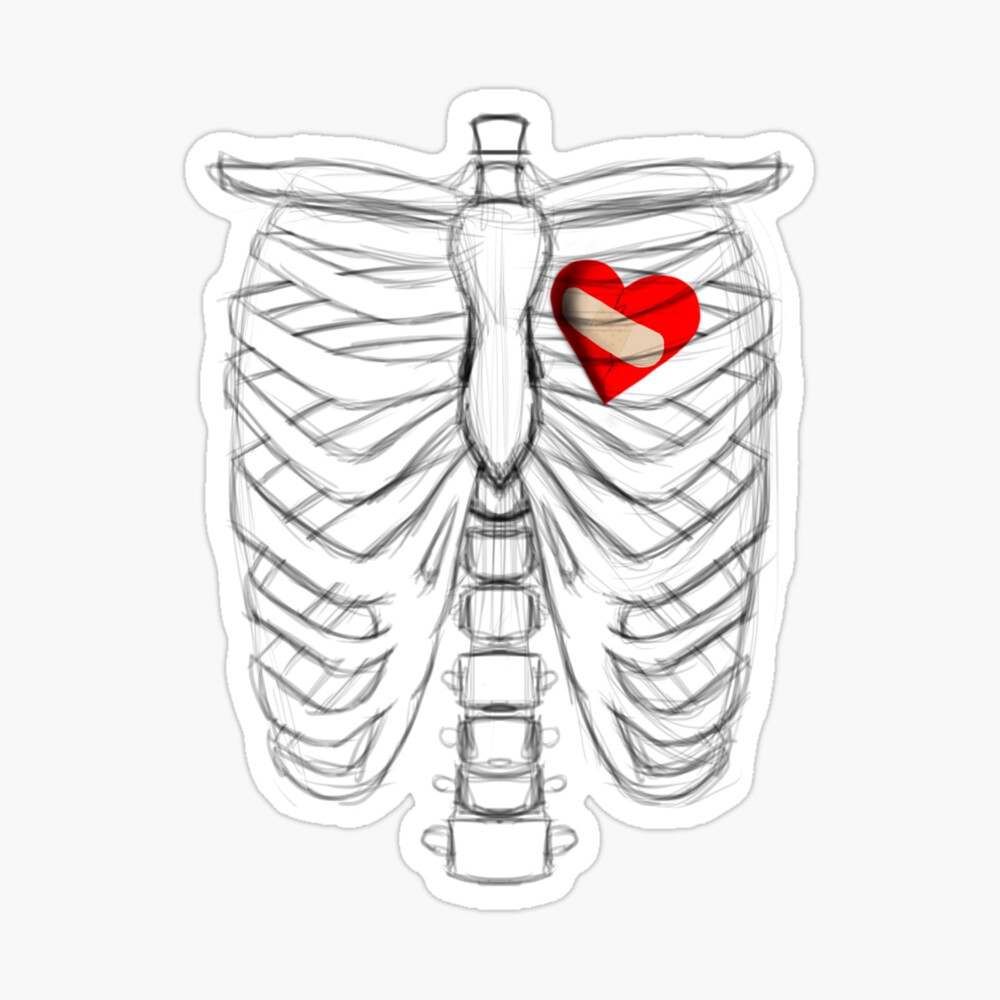 Download HD Human Clipart Ribcage - Heart In Rib Cage Drawing Transparent  PNG Image - NicePNG.com
