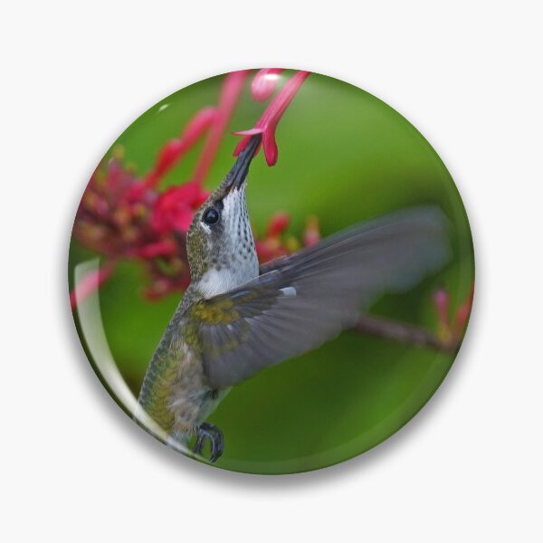 Item preview, Juvenile male Hunmmingbird designed and sold by Anthony Goldman.