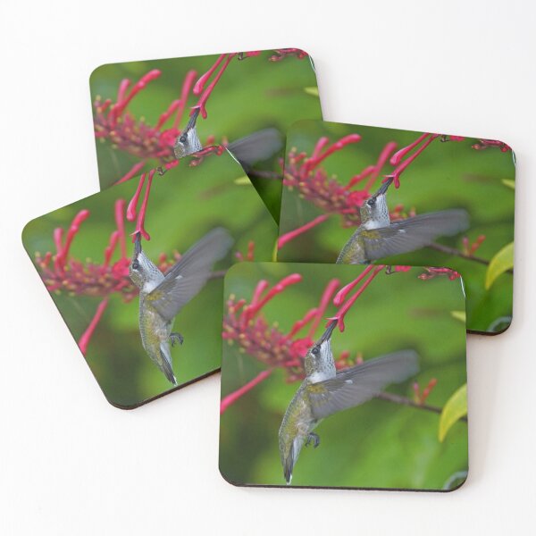 Item preview, Juvenile male Hunmmingbird designed and sold by Anthony Goldman.