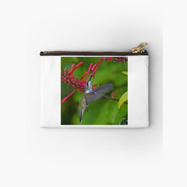 Item preview, Juvenile male Hunmmingbird designed and sold by Anthony Goldman.