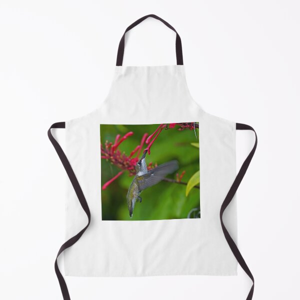 Item preview, Juvenile male Hunmmingbird designed and sold by Anthony Goldman.