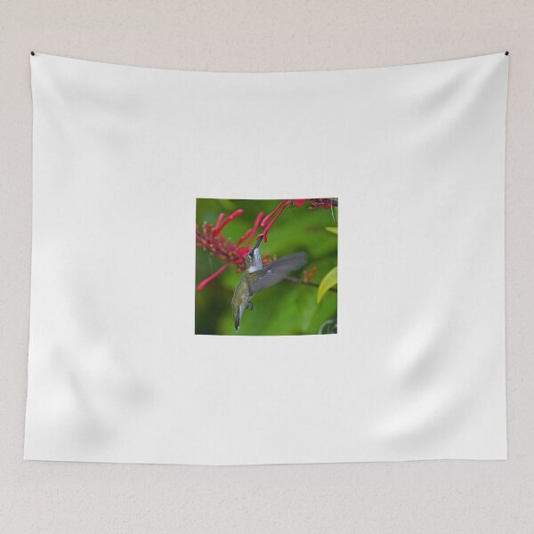 Item preview, Juvenile male Hunmmingbird designed and sold by Anthony Goldman.