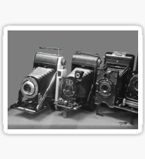 Vintage cameras photography design Sticker