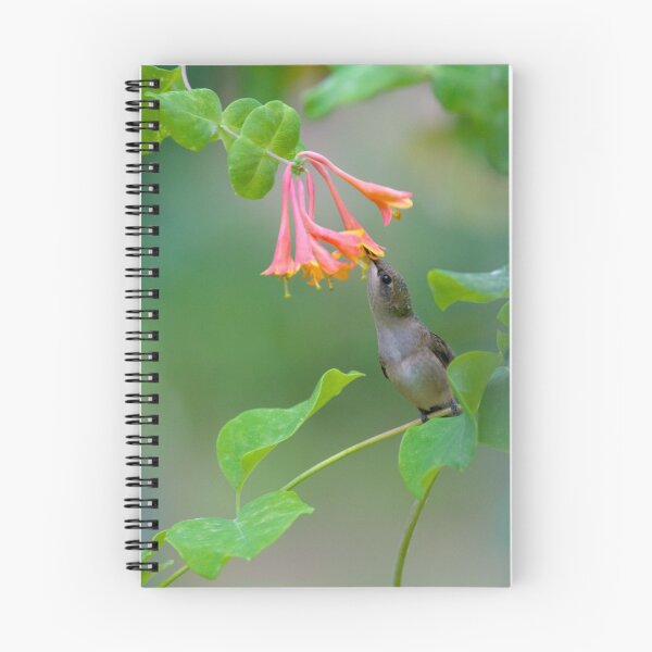 Item preview, Trumpet Vine & Friend designed and sold by VeganBear.