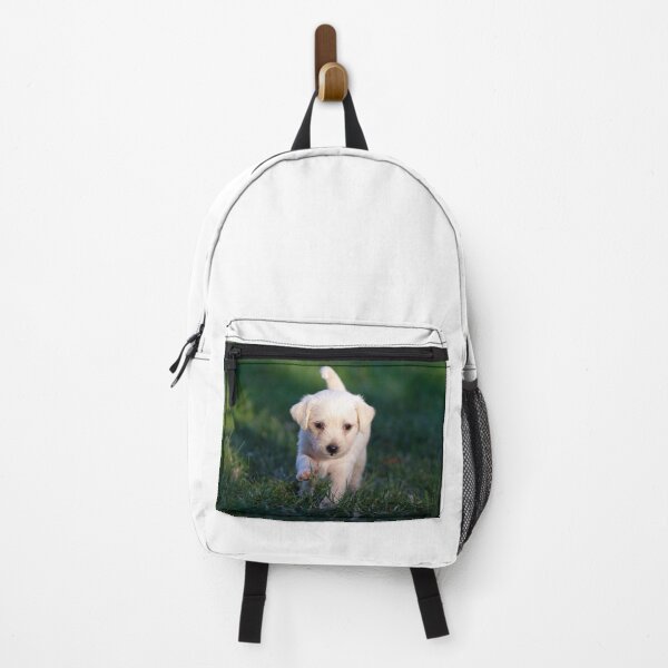 Item preview, baby dog designed and sold by Zuly5.
