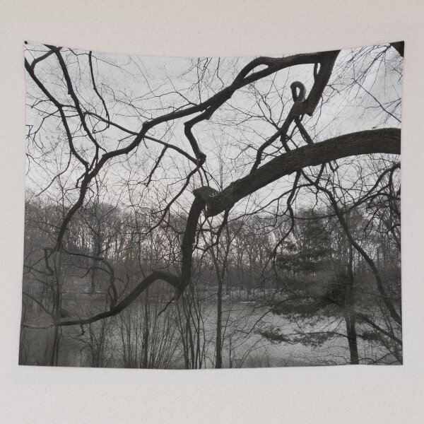 Item preview, Winter at Prospect Park designed and sold by Jeremy Schwartz.