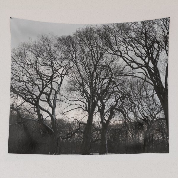 Item preview, Trees on a Snowy Hill designed and sold by Jeremy Schwartz.