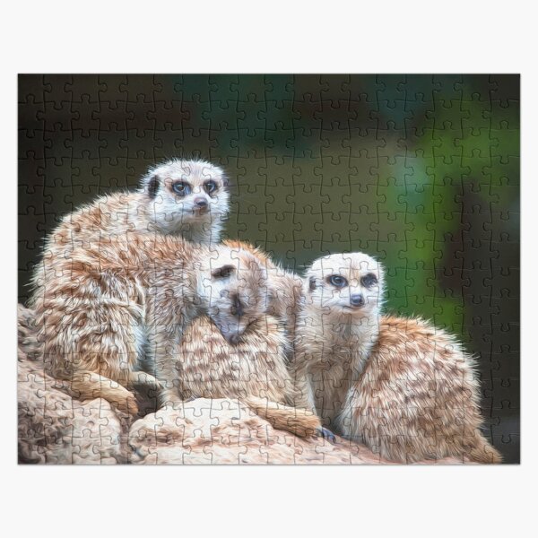 Meerkat Family (digital painting) Jigsaw Puzzle