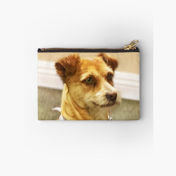 Item preview, Cute Chihuahua and Yorkie Mix. Photo credit: Judith Rodrigues designed and sold by Helga Taylor.