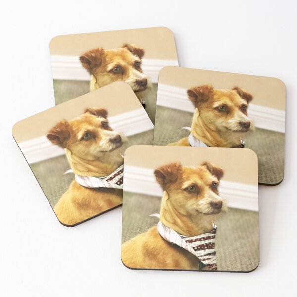 Item preview, Cute Chihuahua and Yorkie Mix. Photo credit: Judith Rodrigues designed and sold by Helga Taylor.