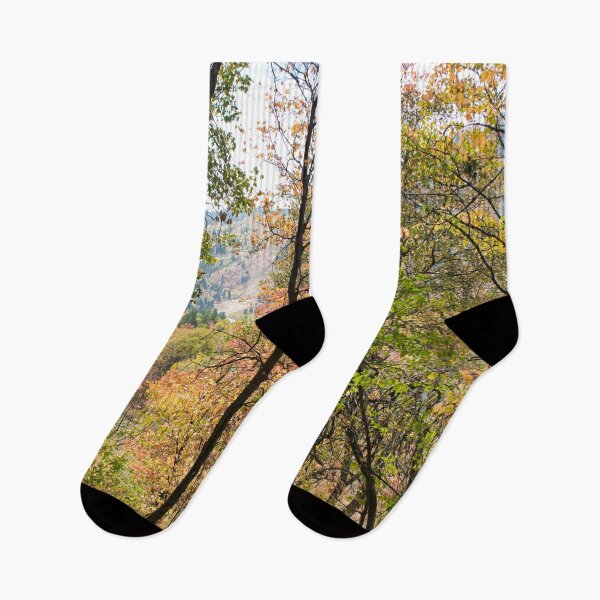 Item preview, Nature photography in the fall season designed and sold by Ventures1.