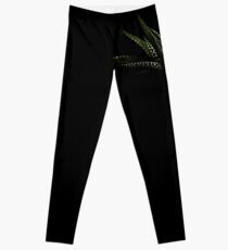 Haworthia Aloe Vera cactus succulent plant white spots Leggings