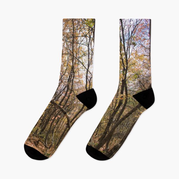 Item preview, Nature photography in the fall season designed and sold by Ventures1.