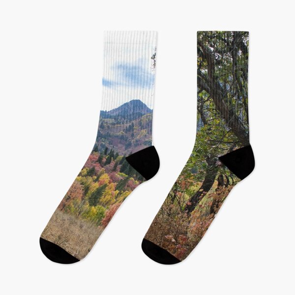 Item preview, Nature photography in the fall season designed and sold by Ventures1.