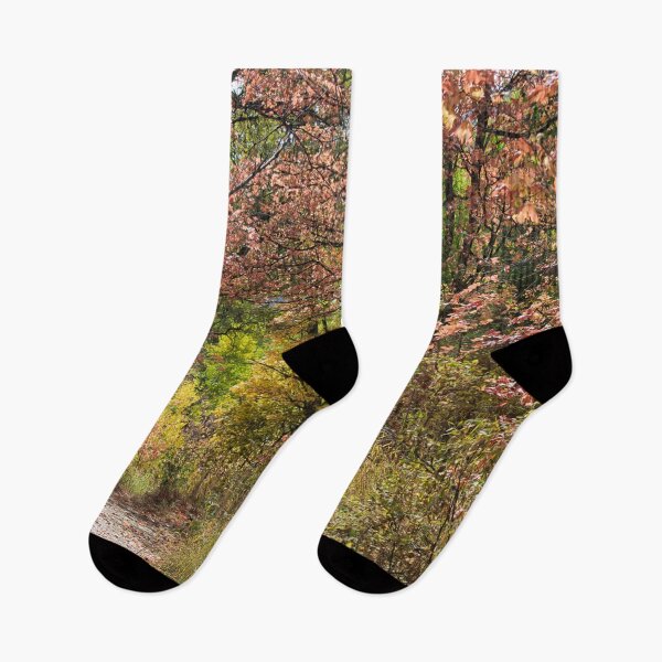 Item preview, Nature photography in the fall season designed and sold by Ventures1.