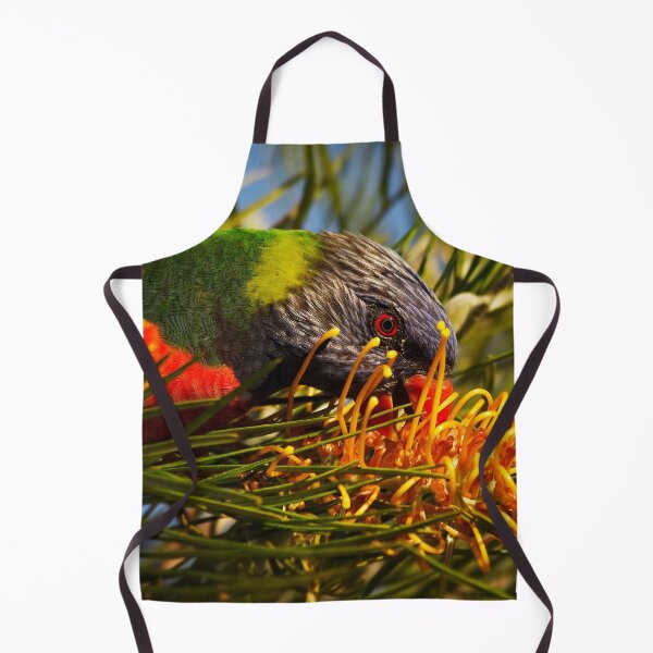 Item preview, Rainbow Lorikeet and Grevillea Honey Gem designed and sold by Ohlordi.