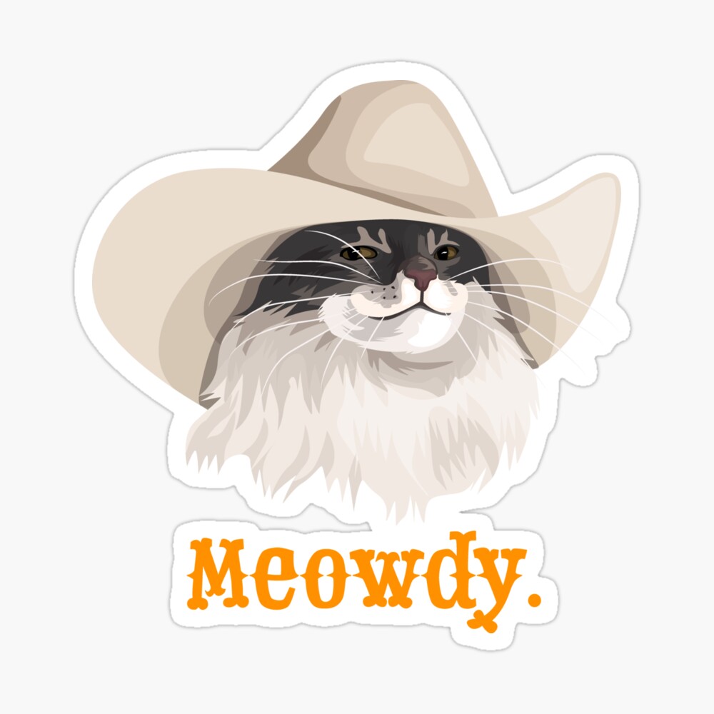 Cat Cowboy Hat Meme Pet Accessories Wholesale Supplier