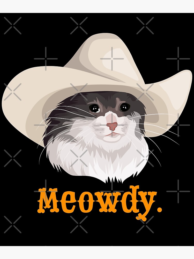 Sad Cat Wearing A Cowboy Hat Meme