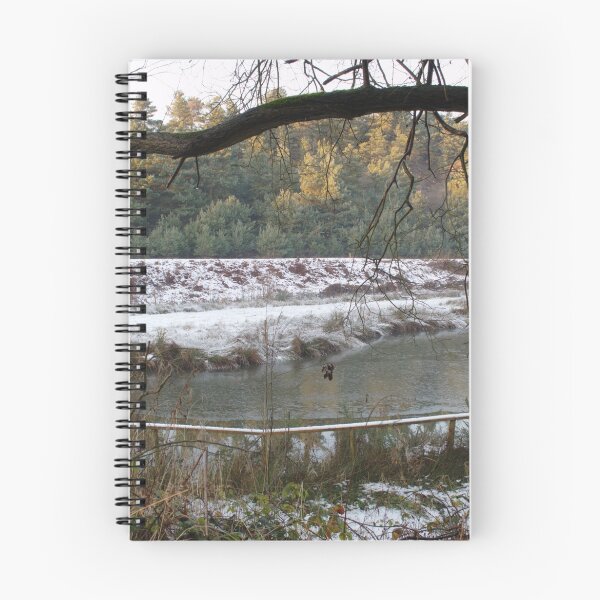 Item preview, Frozen Pool and Railway Embankment designed and sold by Adrian Wale.
