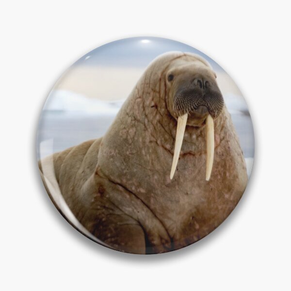 Item preview, I Am the Walrus designed and sold by Marylou Badeaux.