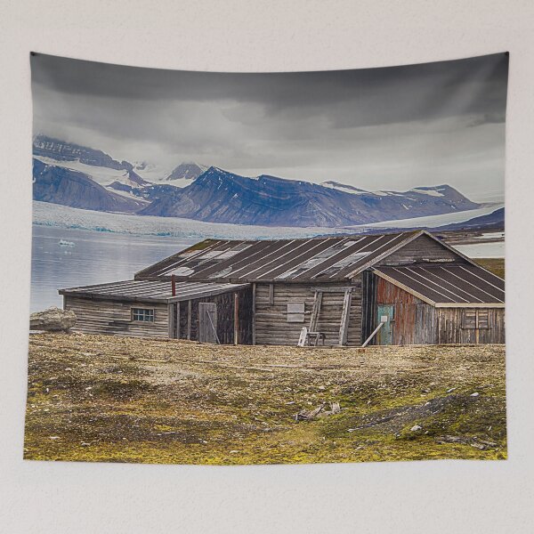 Item preview, The Arctic Shed designed and sold by Marylou Badeaux.