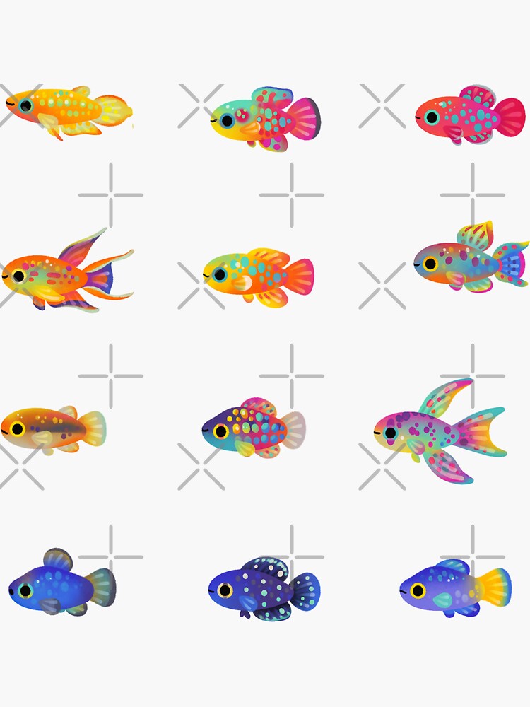 Killifish! by pikaole