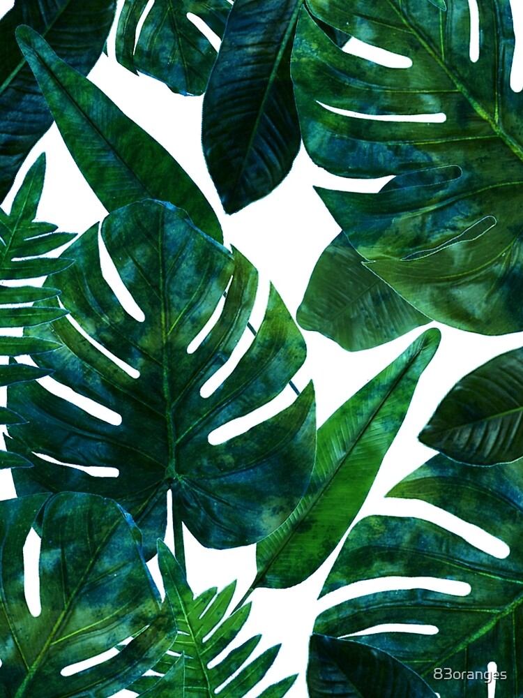 Perceptive Dream, Tropical Jungle Nature Botanical Watercolor Painting, Palm Monstera Bohemian Illustration by 83oranges