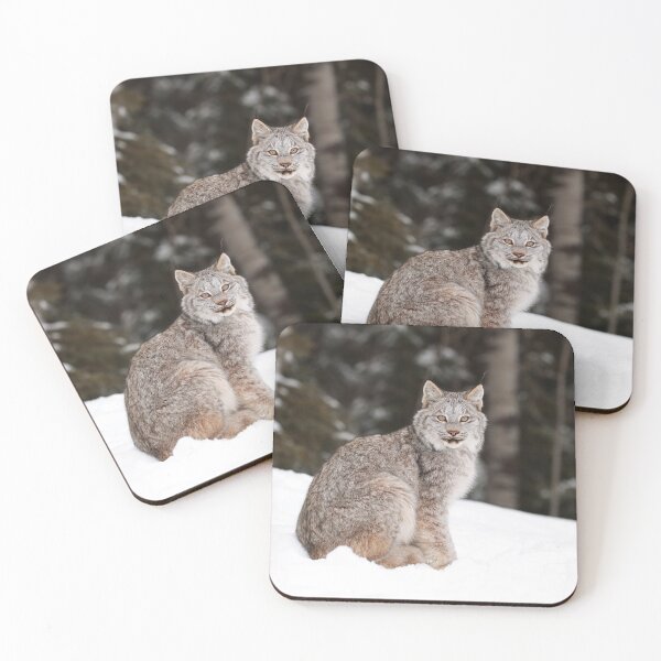 Item preview, Lynx Kitten designed and sold by mlorenz.