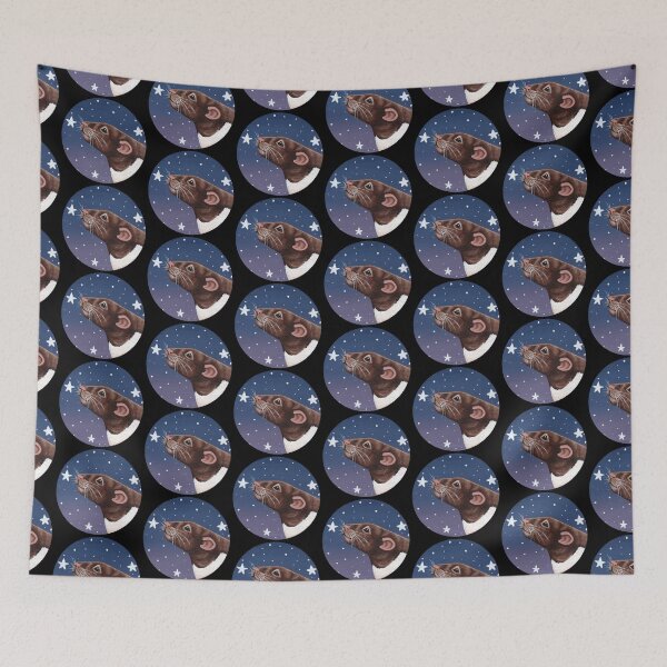 Item preview, Agouti Hooded Rat Stargazing designed and sold by WolfySilver.