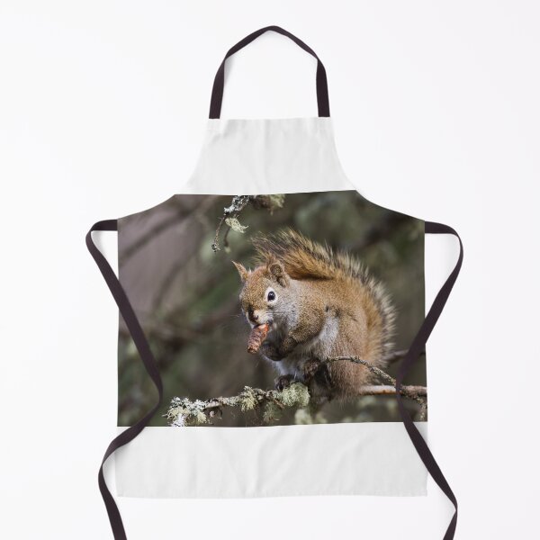 Item preview, Winston the Squirrel designed and sold by Jukka Jantunen.