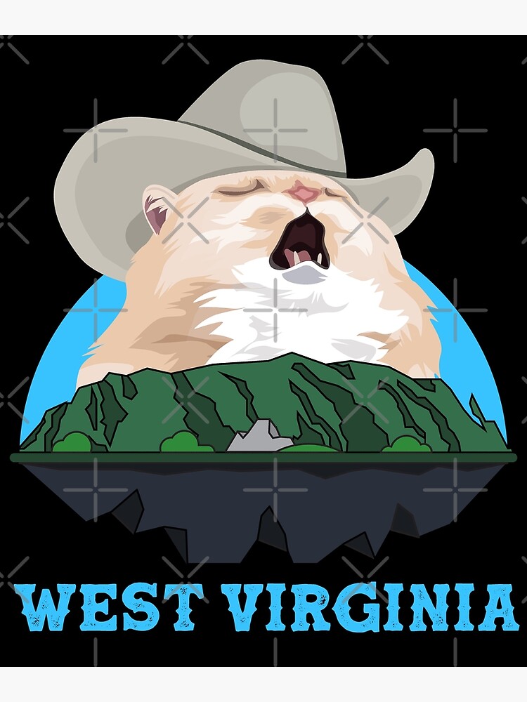 "WEST VIRGINIA Singing Cowboy Cat Meme" Photographic Print by