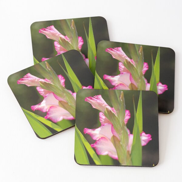 Item preview, A Daydreamer Gladiolus designed and sold by Joy Watson - Natural Light Photography .