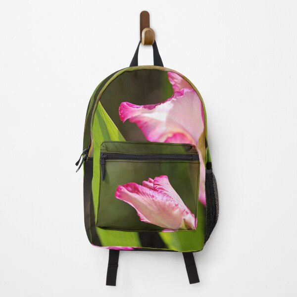 Item preview, A Daydreamer Gladiolus designed and sold by Joy Watson - Natural Light Photography .