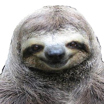 Artwork thumbnail, Smiling Sloth by EO Designs