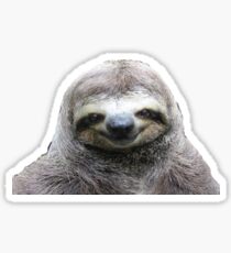 Smiling Sloth Sticker