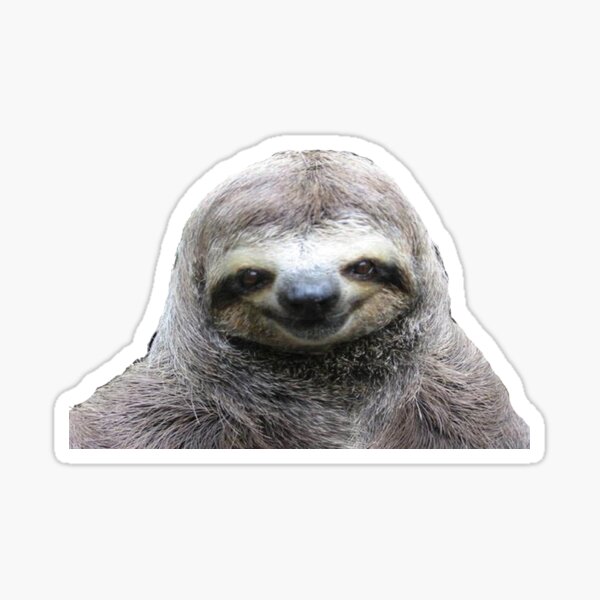 Smiling Sloth Sticker